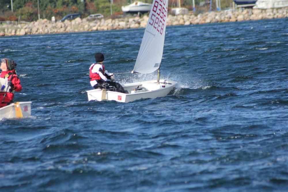Vis 20111008 130827.jpg i fuld st�rrelse